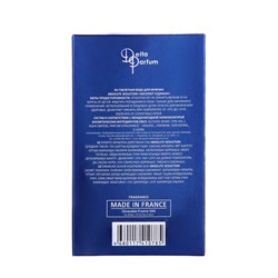 Туалетная вода мужская Absolute Seduction (по мотивам Blue Seduction), 100 мл