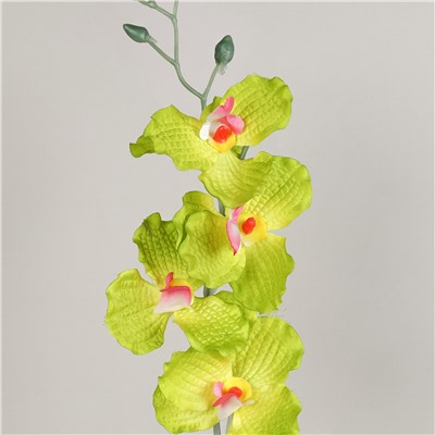 Цветок искусственный Орхидея 66 см 6 цветков / 0341-53 /уп 400/800/А