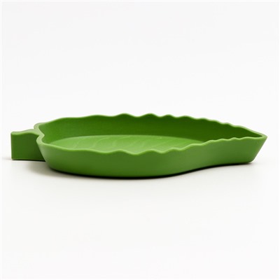 Кормушка для террариума, 15.4×12.4×1.8 см, зелёный