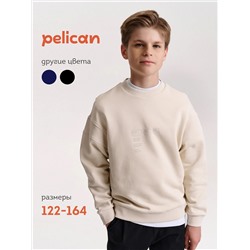 PELICAN Толстовка BFN7040U