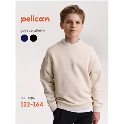 PELICAN Толстовка BFN7040U
