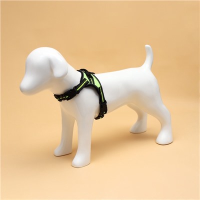 Шлейка улучшенная К7 мягкая светоотражающая, размер S, ОГ 44-55 см, вес 5-9 кг, зелёная