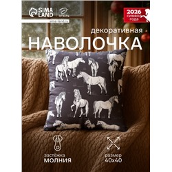 Наволочка декоративная «Этель. Black&White», 40×40 см, велюр