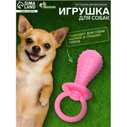 Игрушка жевательная «Пустышка для малышки», TPR, 14.5 см, розовая