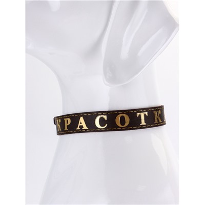 Ошейник «Красотка», 60×2.5 см, однослойный, тиснение фольгой, кожа, цвет МИКС