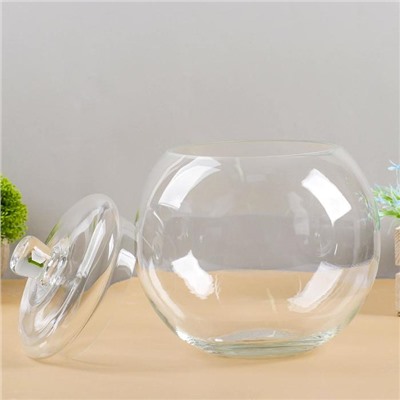 Ваза «Шаровая», 5 л, с крышкой, горл.d=16, 20×23 см (без крышки h=17 см), стекло, прозрачная