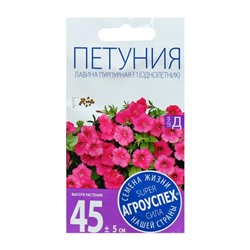 Семена цветов Петуния Лавина пурпурная, суперкаскадная F1, однолетник, 10 шт