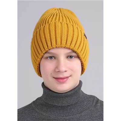 CLEVER Шапка 433854ак флис