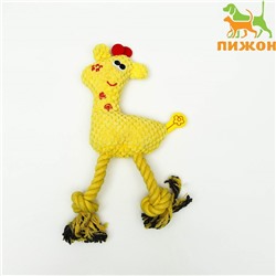 Игрушка мягкая для собак «Жираф с канатом», с пищалкой, 15×25 см