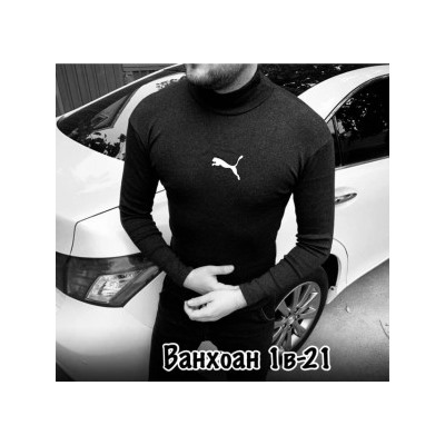 Водолазка #22294063