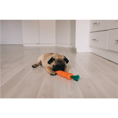 Игрушка канатная «Морковь», до 18 см, до 50 г, оранжевая