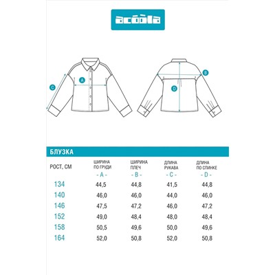 Блузка ACOOLA, 1219441