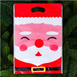 Пакет подарочный новогодний, с zip-lock застежкой, «Дед Мороз», 15×23±1 см