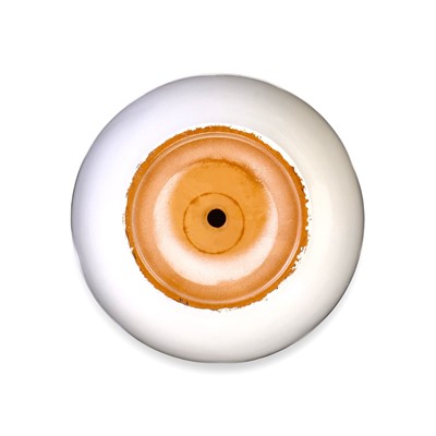 Горшок для цветов «Лотос», 8 л, d=30 см, h=23 см, с поддоном, керамика, белый