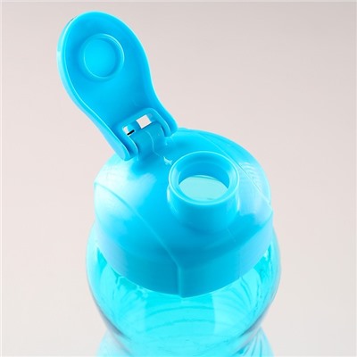 Бутылка для воды, 1 л, 25 х 9 см,  микс