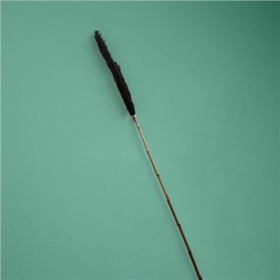 Сухоцвет «Пати», 180 см, чёрный