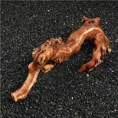 Коряга для аквариума «Лоза виноградная», 20 - 30 см