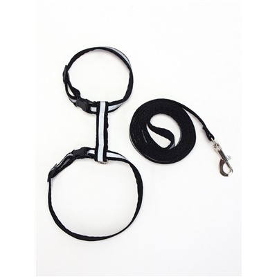 Комплект для кошек светоотражающий, ширина 1 см, шлейка 21-35 см, поводок 120 см, чёрный