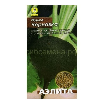 Редька Чернавка (Аэлита)