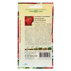 Семена Земляника "Грандиан", ц/п,   F1, 5 шт