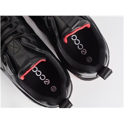 Кроссовки Ecco Biom