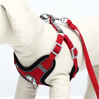 Комплект Sport+, S, поводок 120×1.5 см, ОШ 39-41 см, ОГ 44-48 см, вес животного 7-13 кг, красный