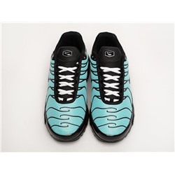 Кроссовки Nike Air Max Plus TN