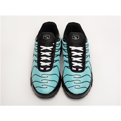 Кроссовки Nike Air Max Plus TN