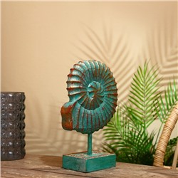 Декор интерьерный «Раковина», 22×9×36 см, албезия