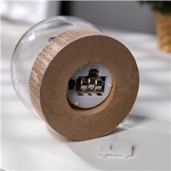 Светодиодная фигура «Шар со снеговиком» 8×8.5×8 см, дерево, пластик, батарейки AG13×3 (в комплекте), свечение тёплое белое