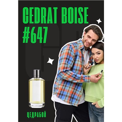 Cedrat Boise	/ GET PARFUM 647
