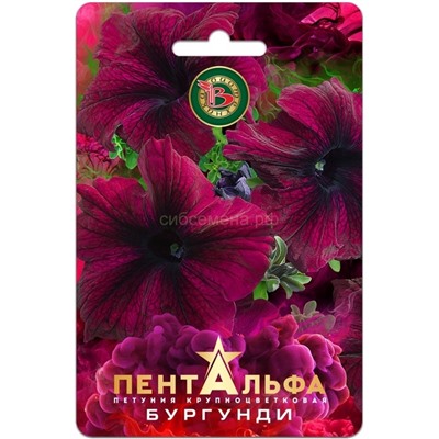 Петуния Пентальфа F1 Бургунди крупноцв (Биотехника)