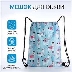 Мешок для обуви на шнурке, с принтом, размер 32×0.5×40 см, розовый/голубой