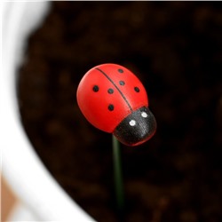 Штекер садовый «Божья коровка дарли», 2.5 см, h=25 см, набор 20 шт.