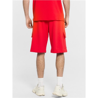 ШОРТЫ МУЖСКИЕ 131096