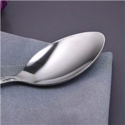 Набор ложек столовых 17,5 см "Соня" 12 шт