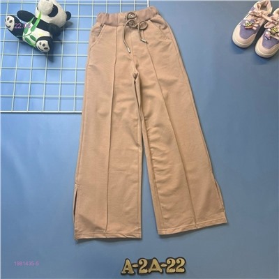 штаны 1981435-5