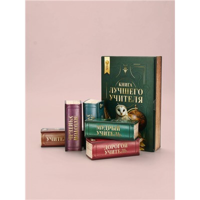 Подарочный набор «Книга лучшего учителя», соль для ванны 5 шт. × 200 г, Чистое счастье