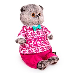 Кот Басик в зимней пижаме