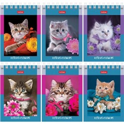 Блокнот на спирали А7 60л клетка "На мягких лапках" (081164) Хатбер