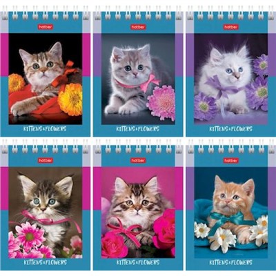 Блокнот на спирали А7 60л клетка "На мягких лапках" (081164) Хатбер