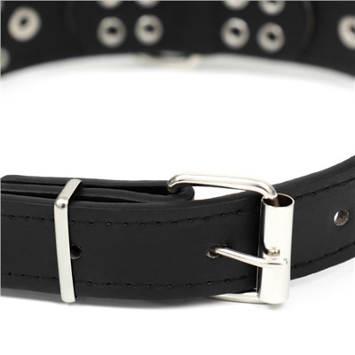 Ошейник «Сириус», 56×3 см, ОШ 42-52, с заклёпками, искусственная кожа, чёрный