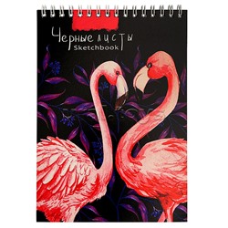 Скетчбук А5, 20л. "Контрастные фламинго" гребень, обл.мелов.картон, черный блок