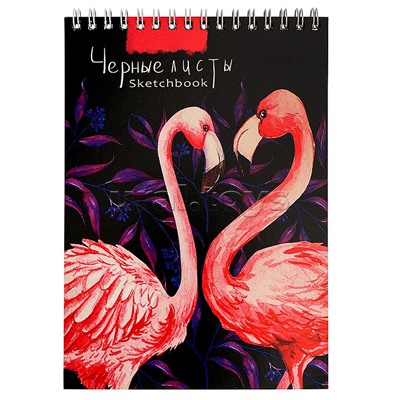 Скетчбук А5, 20л. "Контрастные фламинго" гребень, обл.мелов.картон, черный блок