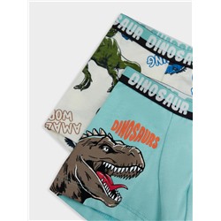 ТРУСЫ ДЛЯ МАЛЬЧИКОВ (2ШТ.) 413345-2