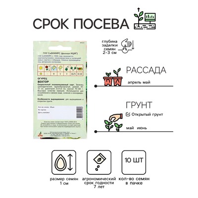 Семена Огурец «Вектор», 10 шт., «Агрос»