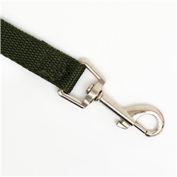 Поводок, 5 м × 2 см, зелёный