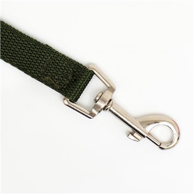 Поводок, 5 м × 2 см, зелёный