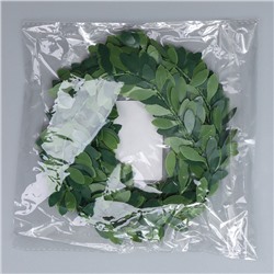 Лиана искусственная для декора «Папоротник», 3 метра, 13 × 13 × 2 см