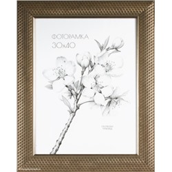 Фоторамка 30х40 / DS5103-474P /